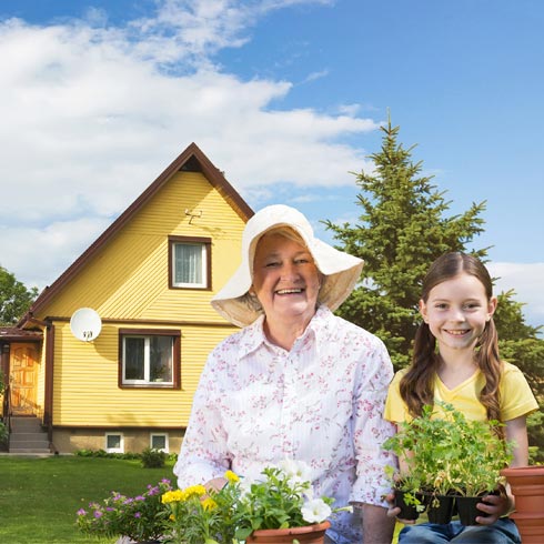 Окно «Летняя дача»