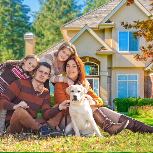 Окно «Летняя дача»